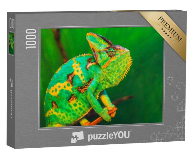 Puzzel 1000 stukjes „Chamaeleo calyptratus in Saoedi-Arabië, Jemen“