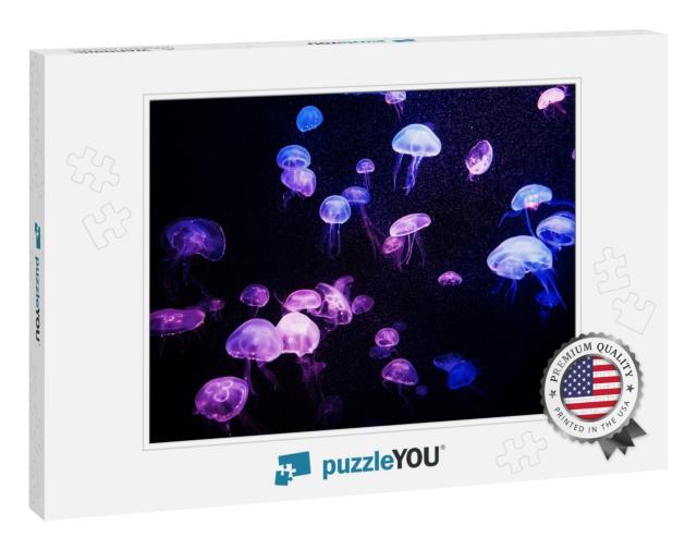 Beautiful Light Reflection on Jellyfish in the Aquarium... Jigsaw Puzzle