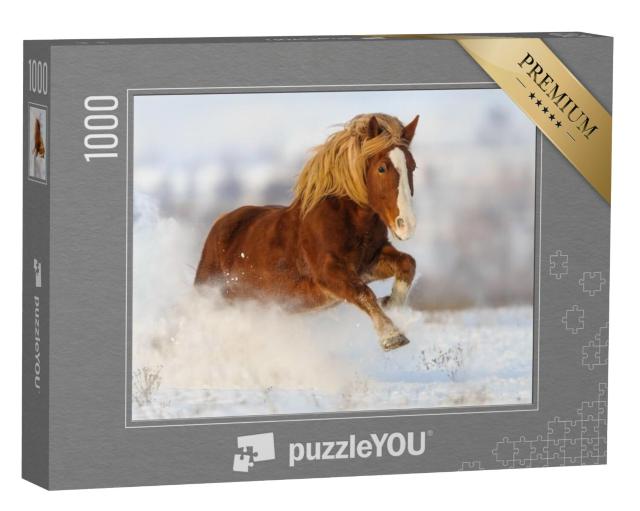 Puzzel 1000 stukjes „Galop in een winters sneeuwveld“