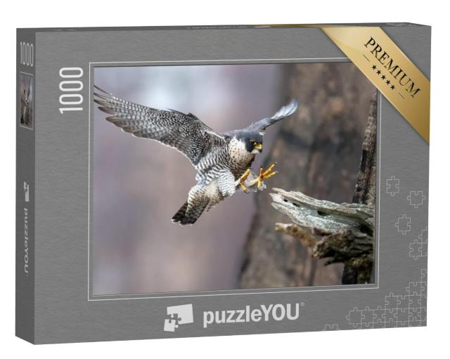 Puzzel 1000 stukjes „Slechtvalk in perfecte landingsaanloop“