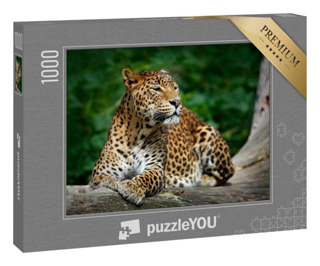 Puzzle 1000 Teile „Leopard im Yala-Nationalpark, Sri Lanka“