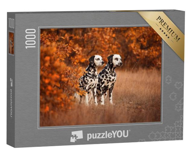 Puzzel 1000 stukjes „Twee dalmatiërs aan de wandel“