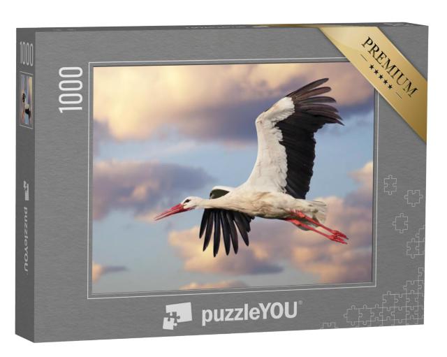 Puzzel 1000 stukjes „Een witte ooievaar tijdens de vlucht met een bewolkte lucht“