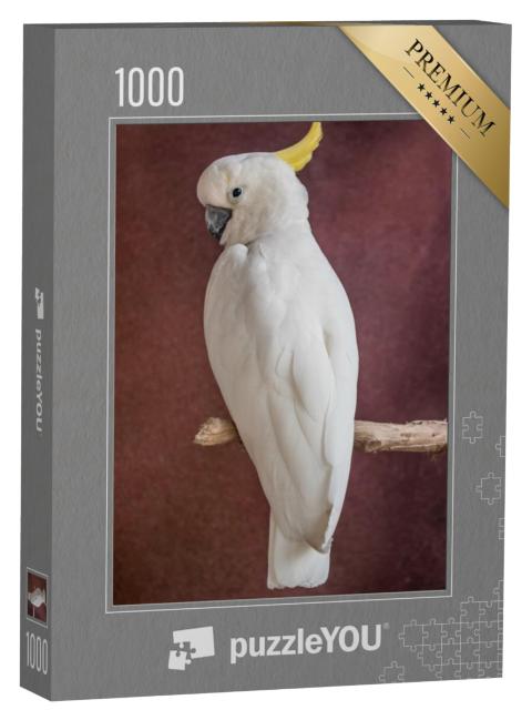 Puzzel 1000 stukjes „Witte papegaai op een tak“