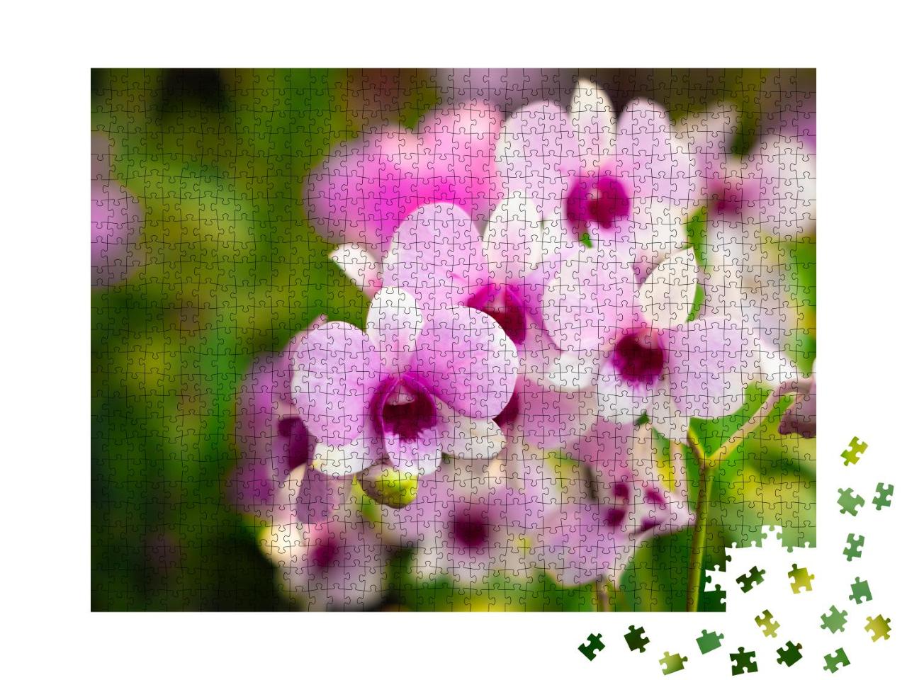 Puzzle 1000 Teile „Zweig mit wunderschönen Blüten im Orchideengarten“