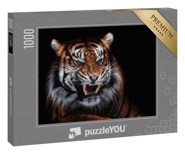 Puzzle 1000 Teile „Sumatra-Tiger, schönes Tier, Porträt“