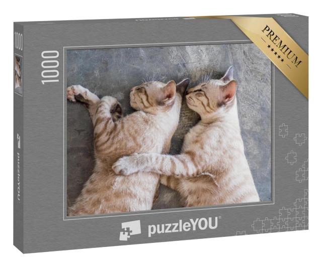 Puzzle 1000 Teile „Zwei Katzen beim Mittagsschlaf“