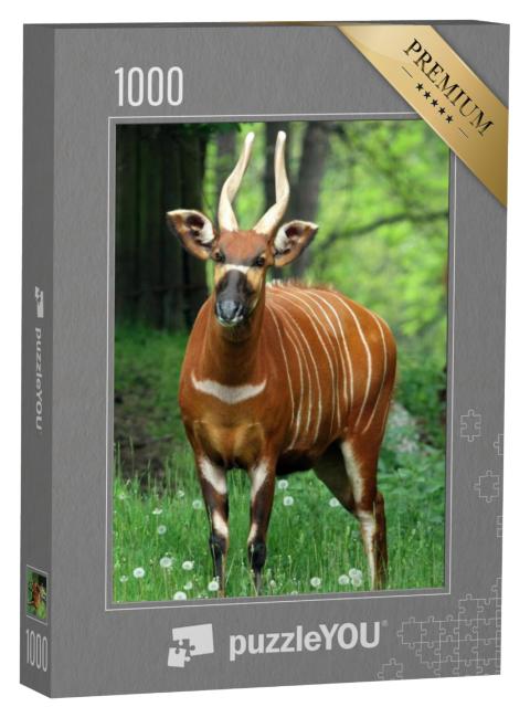 Puzzel 1000 stukjes „Een vrouwelijke bergbongo“