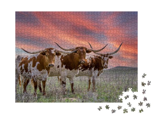 Puzzle 1000 Teile „Texas-Langhorn-Rinder auf einer Weide im Oklahoma Panhandle“