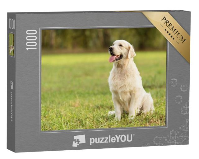 Puzzel 1000 stukjes „Golden Retriever in het park“