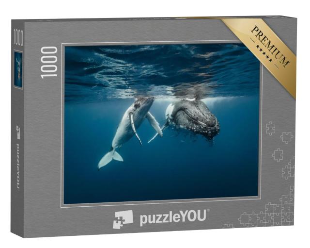 Puzzel 1000 stukjes „Een moeder bultrug met haar kalf in kristalhelder water“