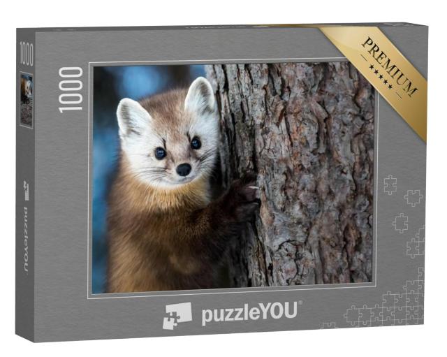 Puzzel 1000 stukjes „Amerikaanse marter klimmen“