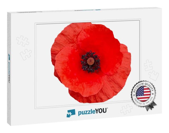Bright Red Poppy Flower Isolated on White, Top View... Jigsaw Puzzle
