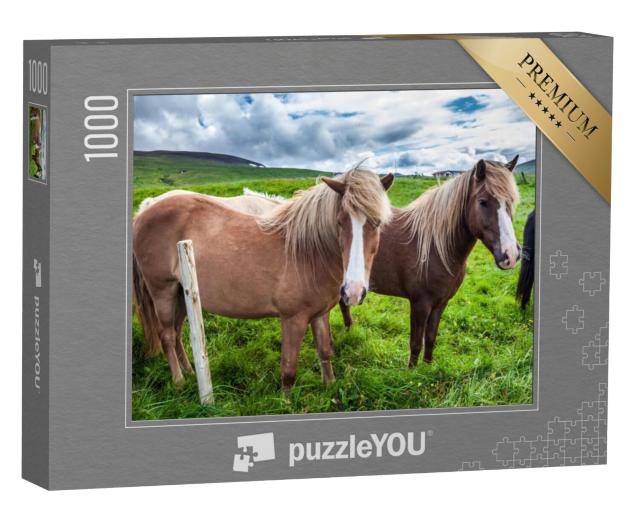 Puzzel 1000 stukjes „IJslandse paarden in de IJslandse toendra“