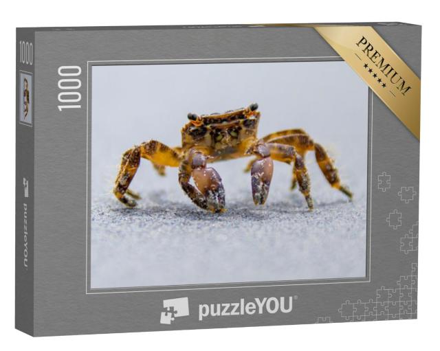 Puzzel 1000 stukjes „Krab aan zee“