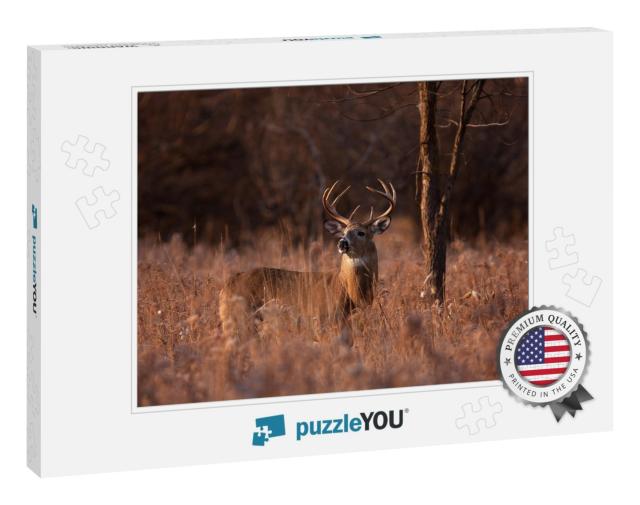 White-Tailed Deer Buck with a Huge Neck & Antlers Standin... Jigsaw Puzzle
