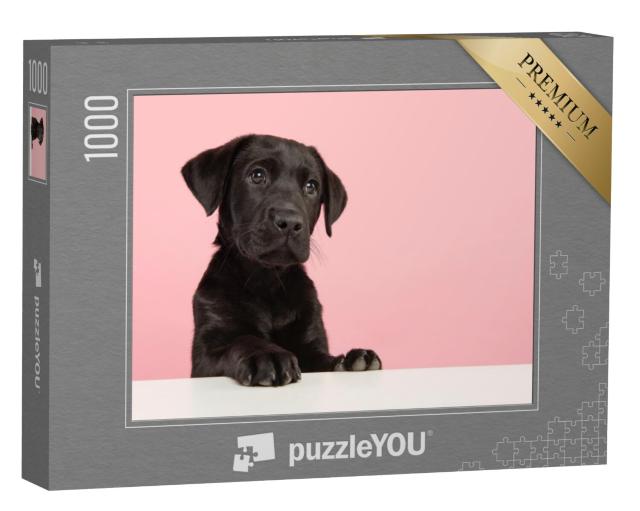 Puzzel 1000 stukjes „Schattige zwarte Labrador pup“