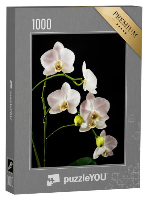 Puzzel 1000 stukjes „Witte orchideeëntak vol bloemen“