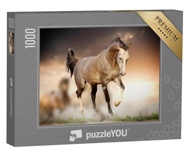 Puzzel 1000 stukjes „Een Arabische hengst bij zonsondergang“