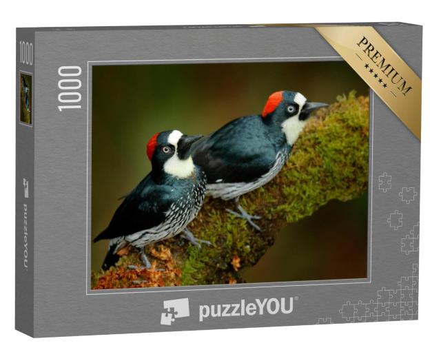 Puzzel 1000 stukjes „Twee eikelspechten op een met mos bedekte tak“