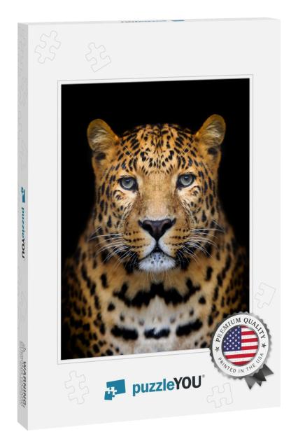 Close-Up Leopard Portrait on Dark Background... Jigsaw Puzzle