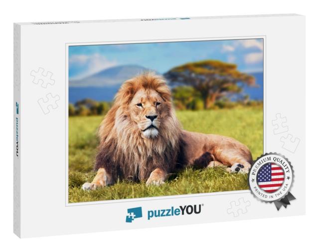 Big Lion Lying on Savannah Grass. Landscape with Characte... Jigsaw Puzzle