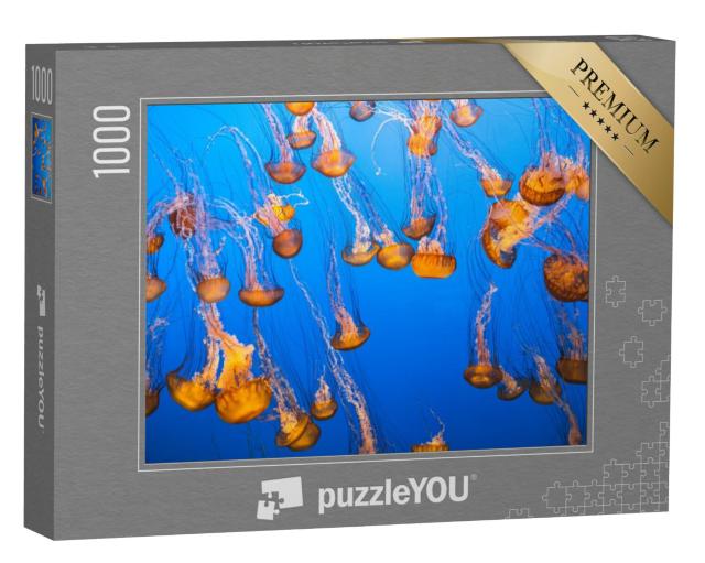 Puzzel 1000 stukjes „Een groep kwallen in het lichtdoorstroomde water“