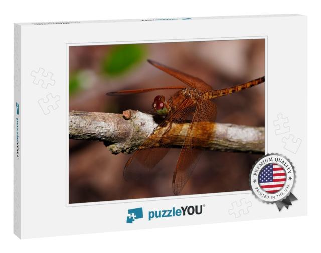 Dragonfly, Golden-Brown Body, Red Eyes, Green... Jigsaw Puzzle