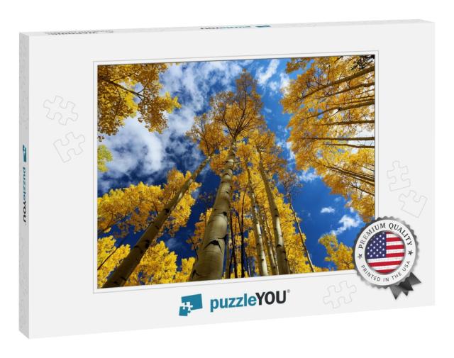 Autumn Canopy of Brilliant Yellow Aspen Tree Leaves in Fa... Jigsaw Puzzle