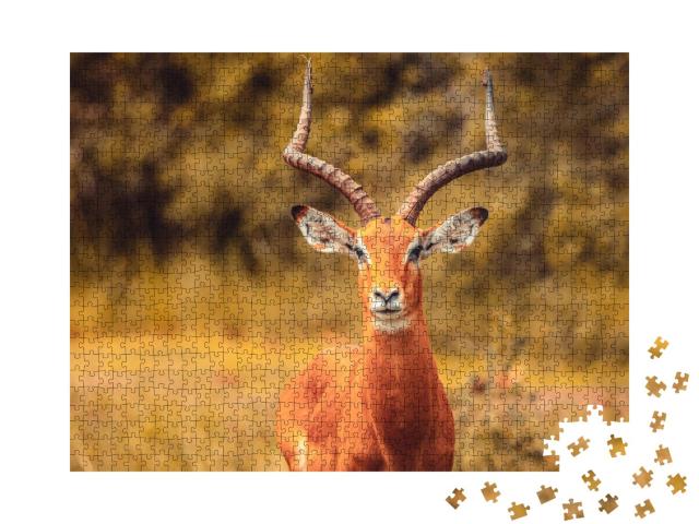 Puzzle 1000 Teile „Schöne Impala-Antilope“