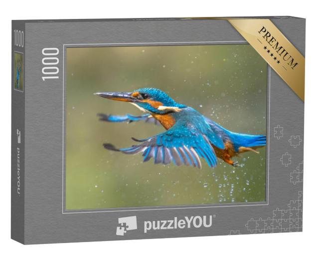 Puzzel 1000 stukjes „De ijsvogel vliegt uit het water nadat hij boven water is gekomen“