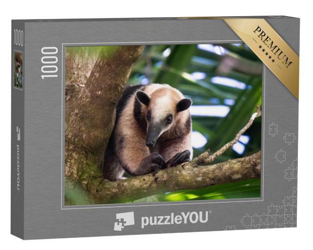 Puzzel 1000 stukjes „De boom miereneter in Costa Rica“