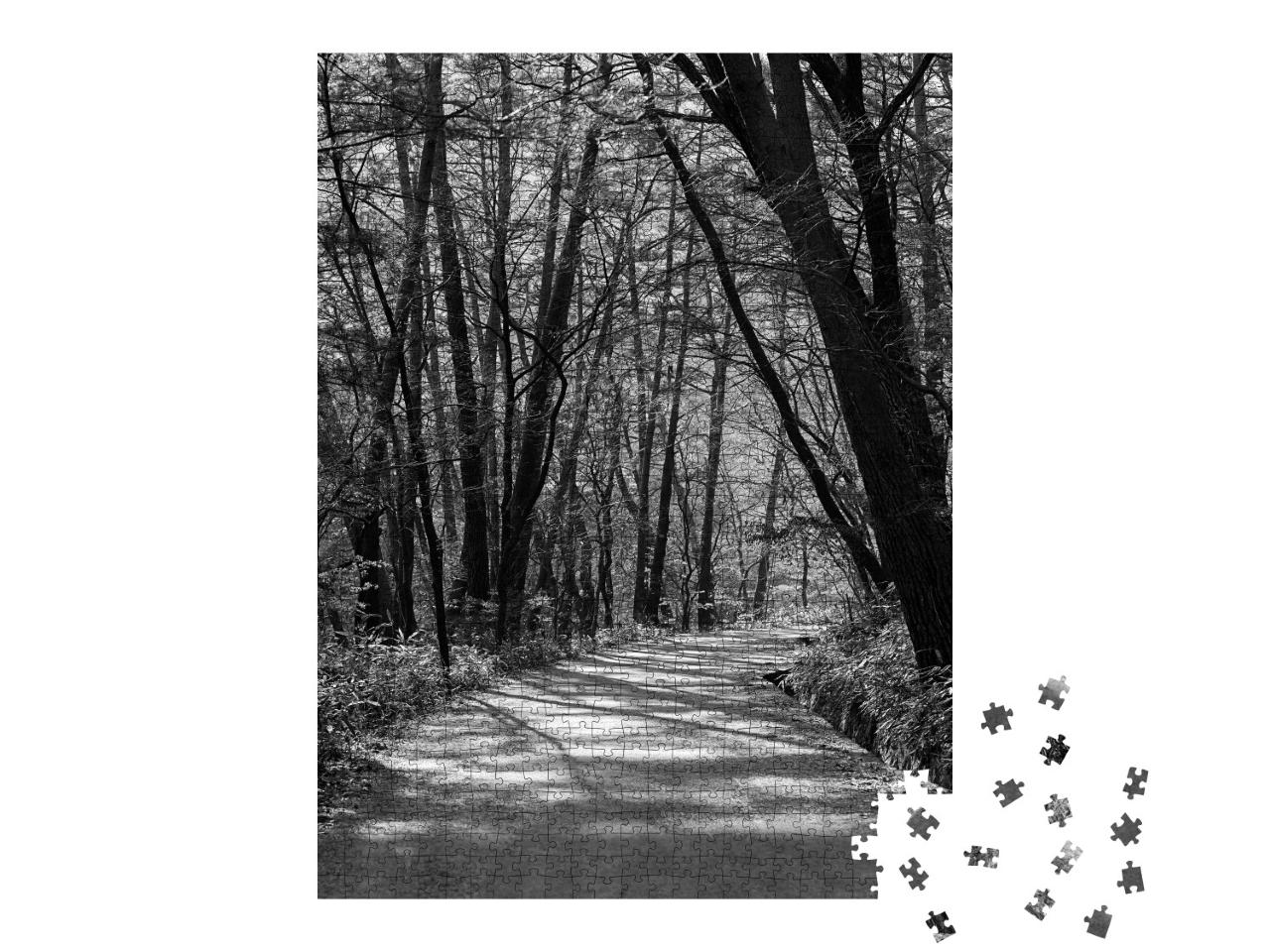 Puzzle 1000 Teile „Wunderschöner Weg im Wald, schwarz-weiß“