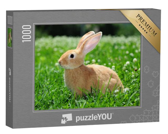 Puzzel 1000 stukjes „Konijnen in het wild“