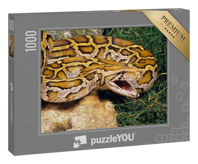 Puzzle „Indische Python “