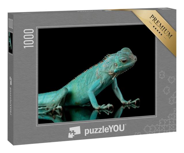 Puzzle 1000 Teile „Grand Cayman Blue Iguana: Blauer Leguan, Nahaufnahme“