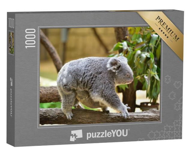 Puzzel 1000 stukjes „Koalababy klampt zich vast aan de buik van zijn moeder“