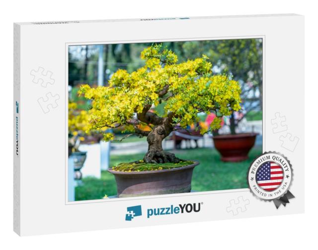Apricot Bonsai Tree Blooming with Yellow Flowering Branch... Jigsaw Puzzle