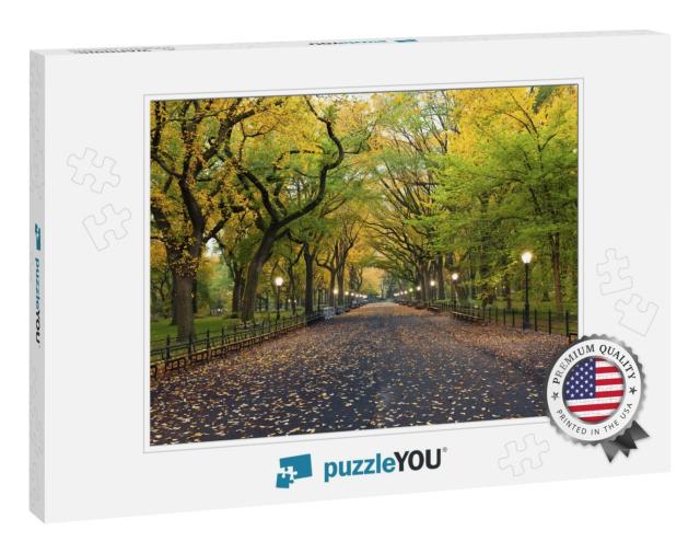 Central Park. Image of the Mall Area in Central Park, New... Jigsaw Puzzle