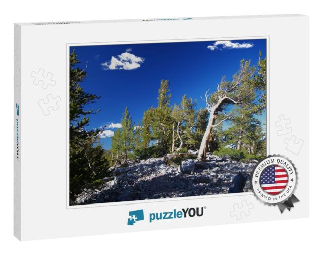 Bristlecone Pines in Great Basin National Park in Nevada_... Jigsaw Puzzle