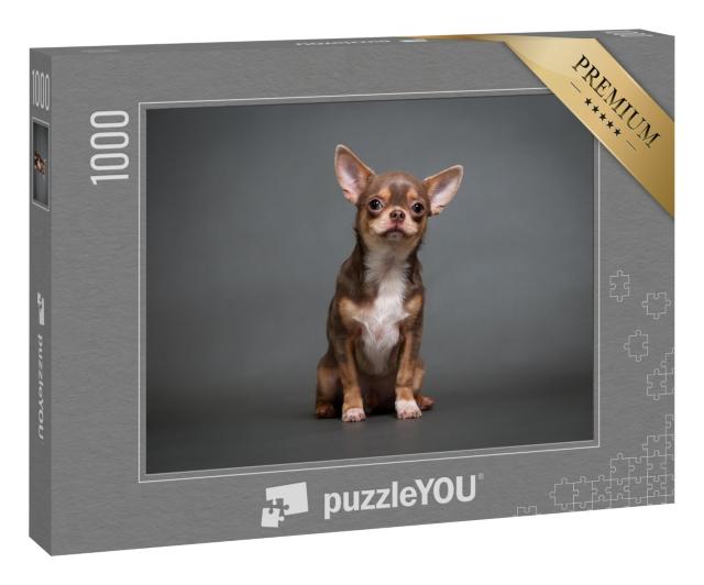 Puzzle 1000 Teile „Chihuahua Welpe mit grauem Hintergrund“