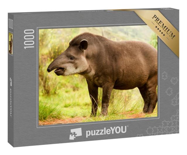 Puzzle 1000 Teile „Südamerikanischer Tapir im Wald, ecuadorianisches Hochland“