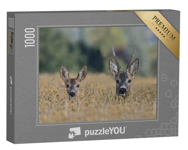 Puzzel 1000 stukjes „Twee herten in een graanveld“