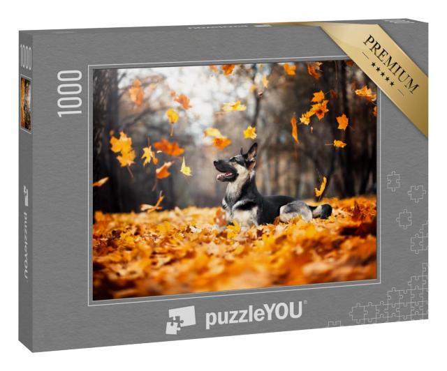 Puzzle 1000 Teile „Schäferhund im wirbelnden Herbstlaub“