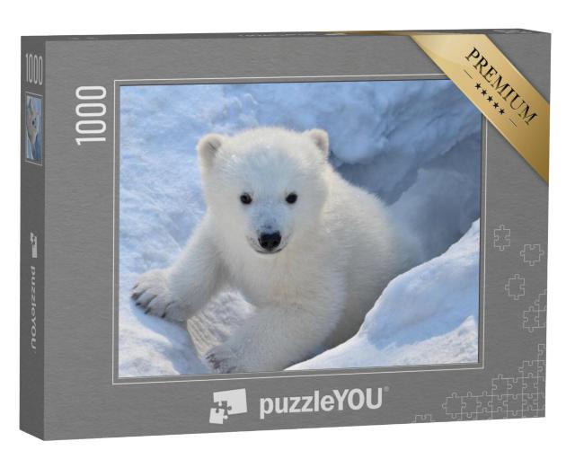 Puzzel 1000 stukjes „Portret van een witte beer“