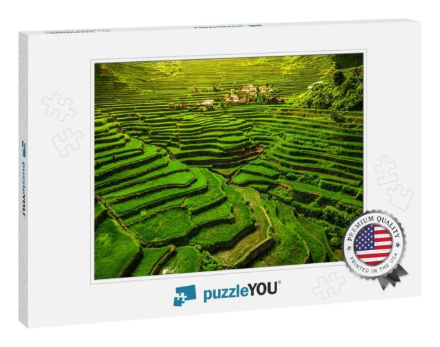 World Heritage Ifugao Rice Terraces in Batad, Northern Lu... Jigsaw Puzzle