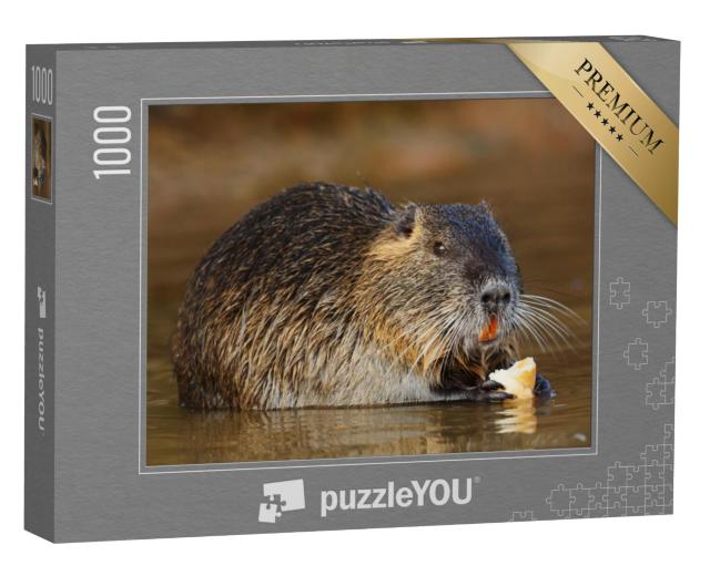 Puzzel 1000 stukjes „Een Coypu knaagdier eet“