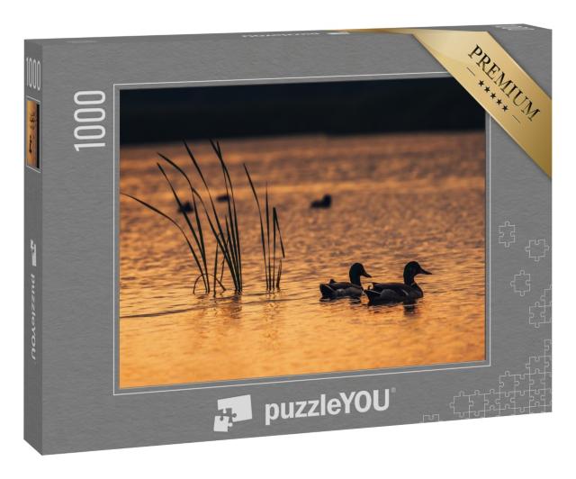 Puzzle 1000 Teile „Enten im Wasser des Sees während des Sonnenaufgangs“