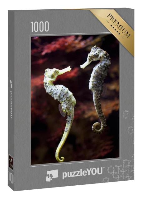 Puzzle 1000 Teile „Verliebtes Langschnauzen-Seepferdchen-Paar“