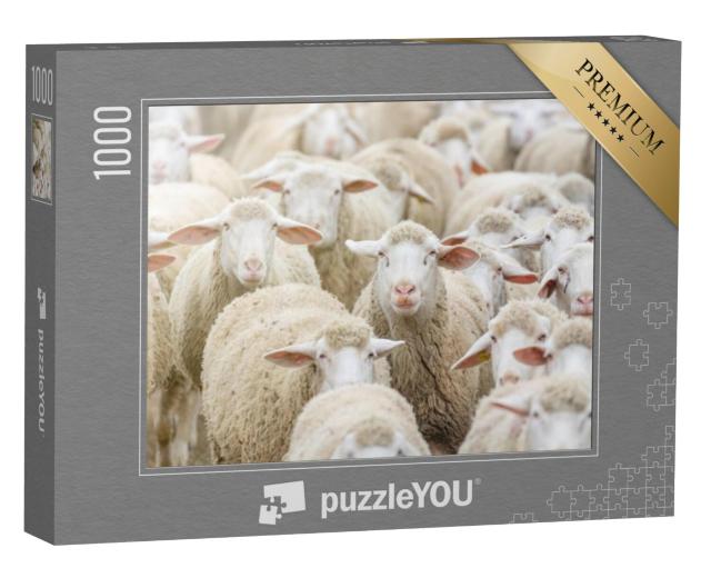 Puzzel 1000 stukjes „Een kudde schapen“